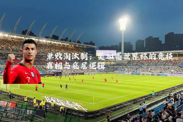 单败淘汰制:美加墨世界杯的竞技真相与底层逻辑